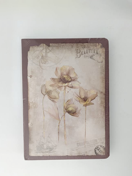 Vintage Aesthetic Diary