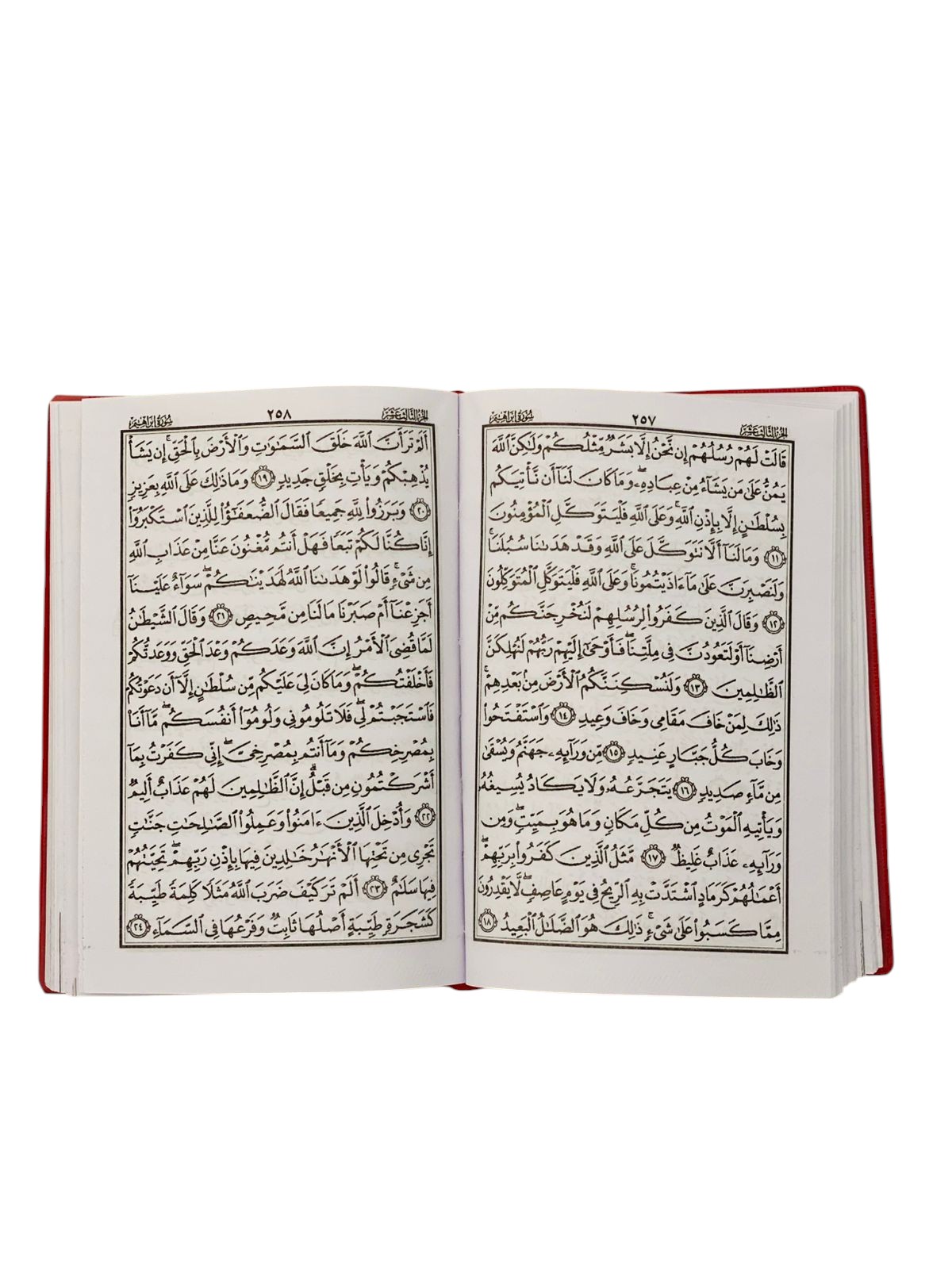 30 JUS QURAN USMANI
