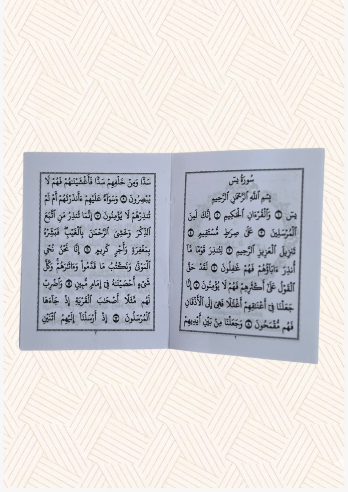 Surah Yaseen Small Quran