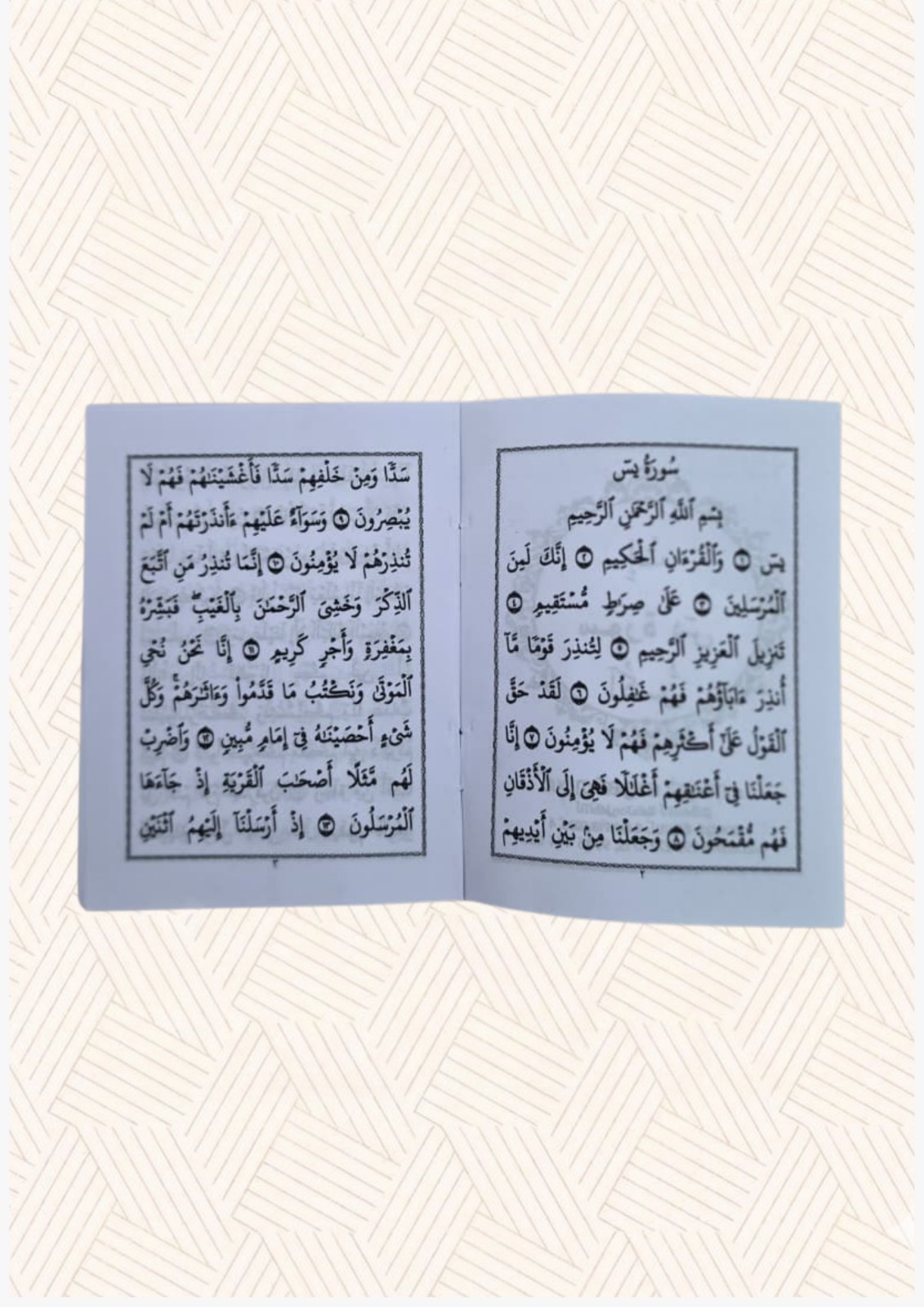 Surah Yaseen Small Quran