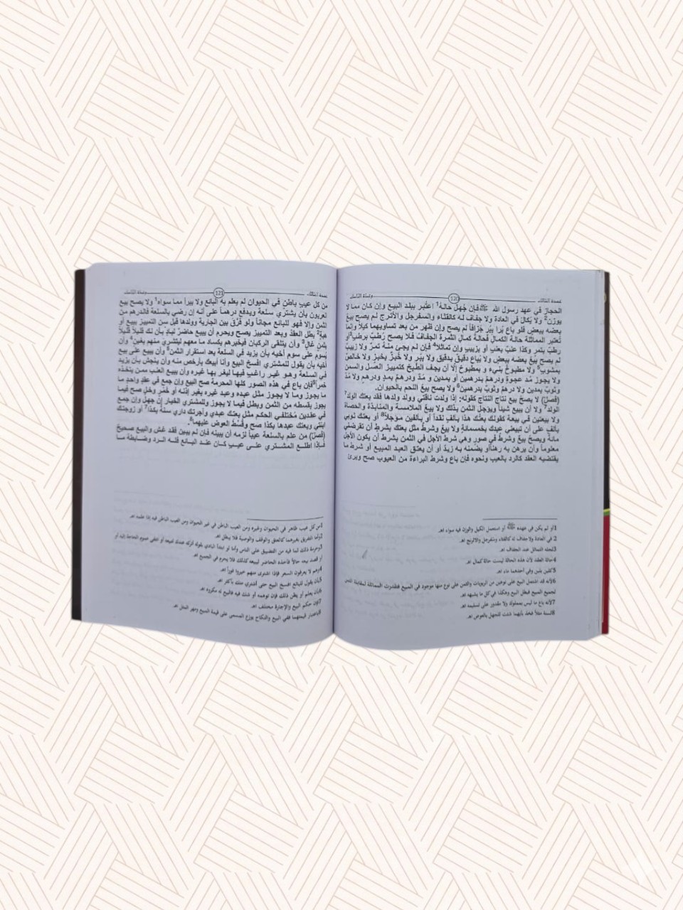 Umdat-us-Saalik wa ‘Addat-un-Naasik